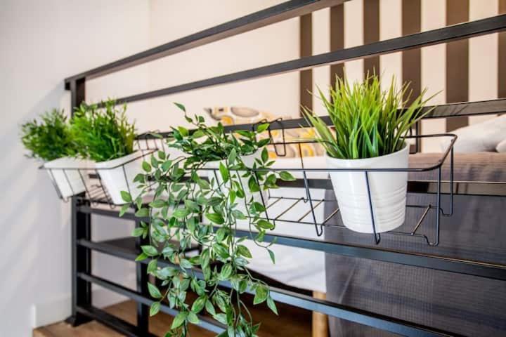 Cool Lofts Center Gasthof *